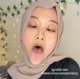 Sheii Trakter Jilbab Viral Terbaru